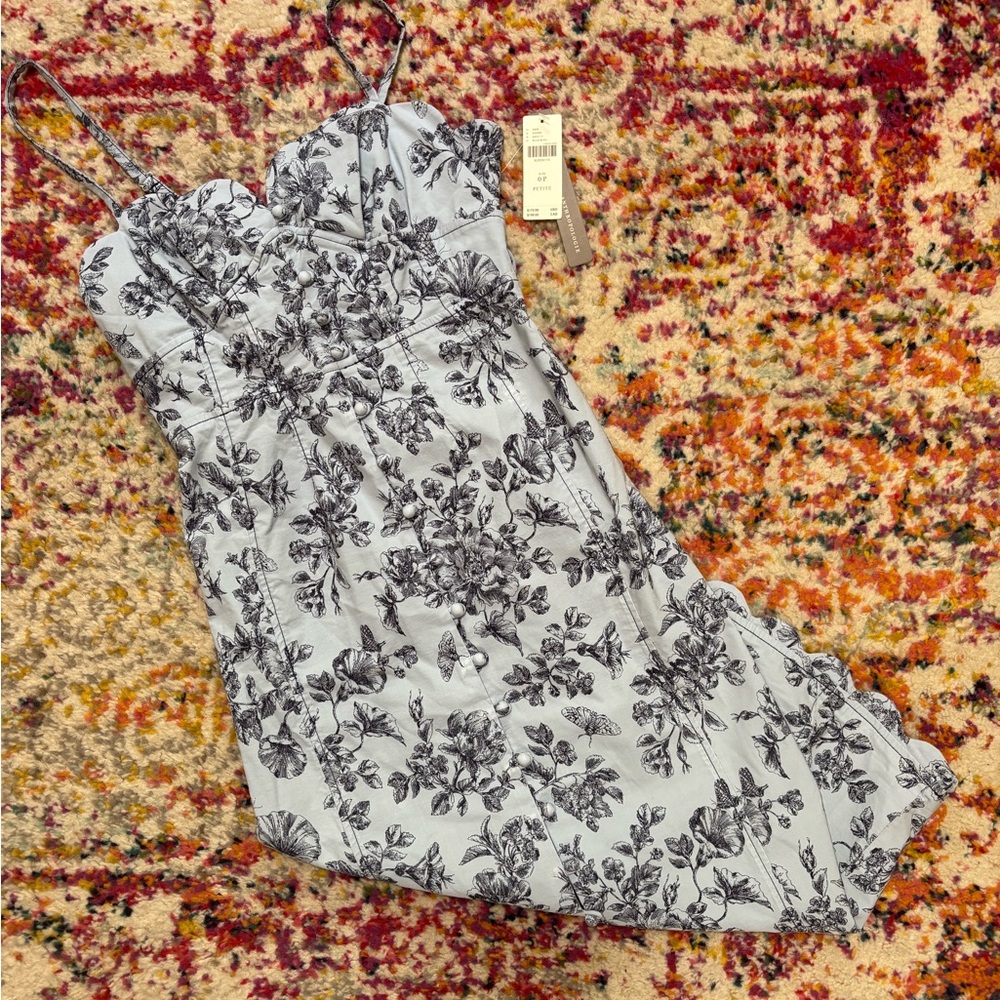 NWT Anthropologie Blue Floral Spaghetti Strap Dress